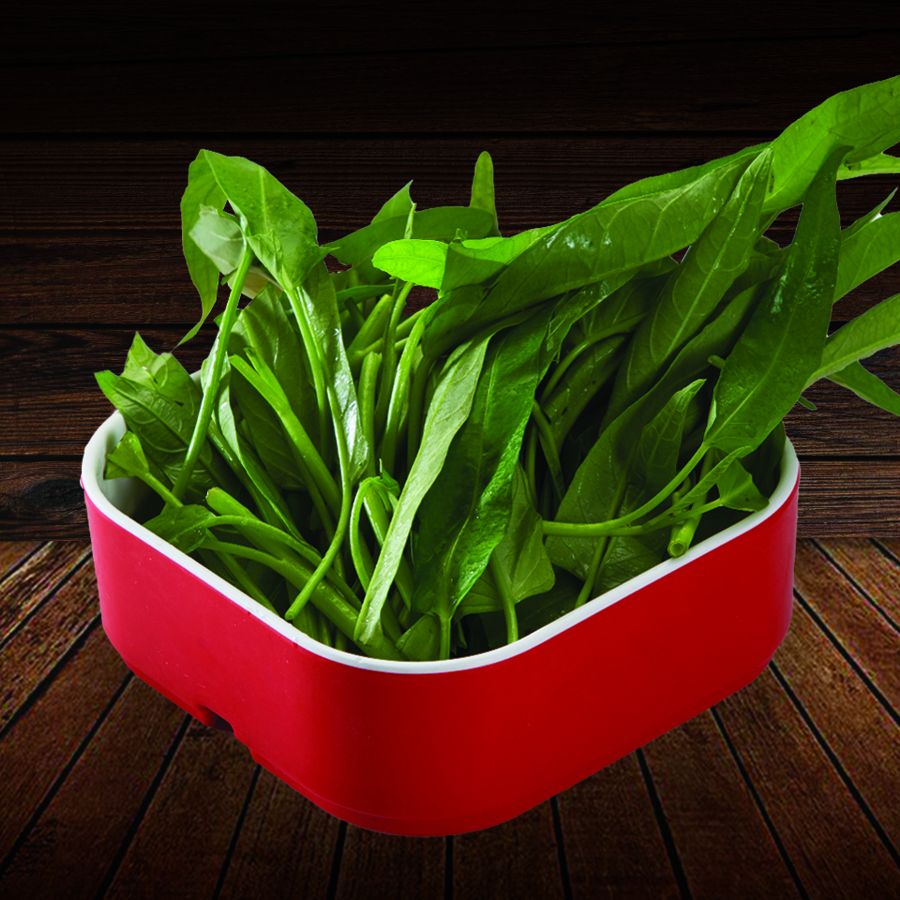 Kangkung