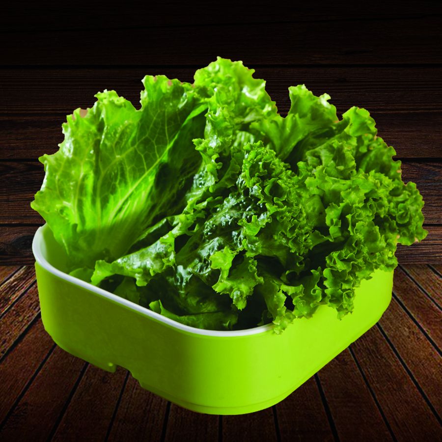 Lettuce Salad